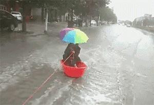 河北探秘,小巷深处的独特风味之旅