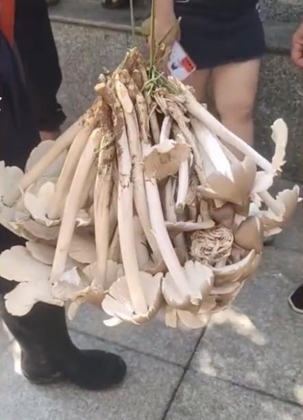 贵州深度游，揭秘喀斯特地貌之旅攻略