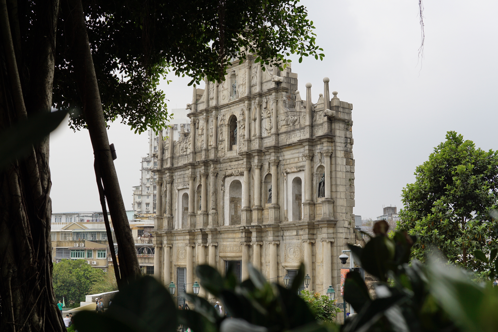 澳门攻略大全，从初学者到进阶用户的任务与学习技能指南
