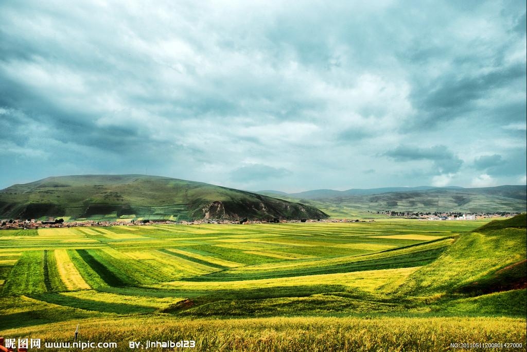 探寻青海深巷中的秘密花园，一家特色小店的故事