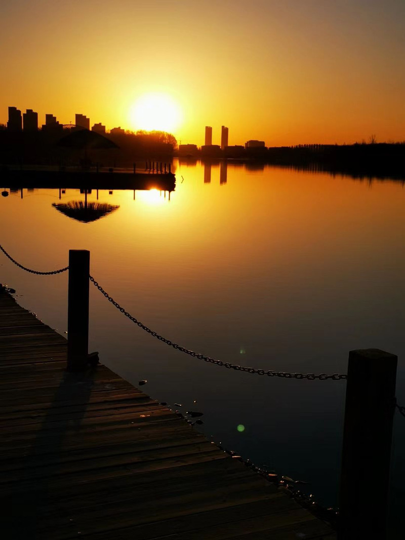 朝阳下的温馨日常